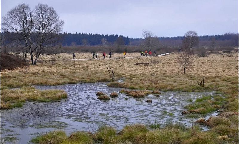 Hoge Venen april 2012